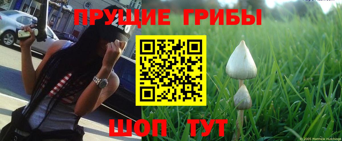 Холмск  Псилоцибиновые грибы мухоморы  Вход с VPN  где можно купить   Галлюциногенные грибы Cubensis 